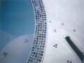 03 01 cinderella pool gunite