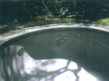 14 before cinderella pool winterization